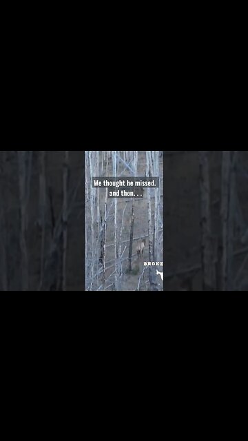 we thought he missed. . .AND THEN. . . #elk #elkhunting #shortsvideo #shortsfeed #hunting #wildlife