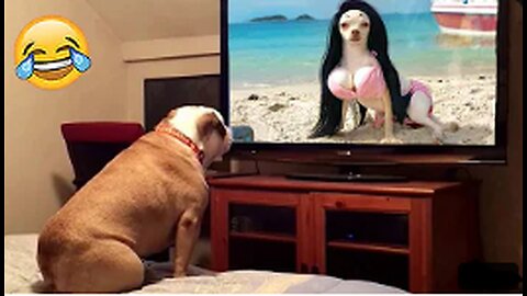 Most humorous Dog Responses to Being Left Home Alone 😹🐶 || Pets video 2023