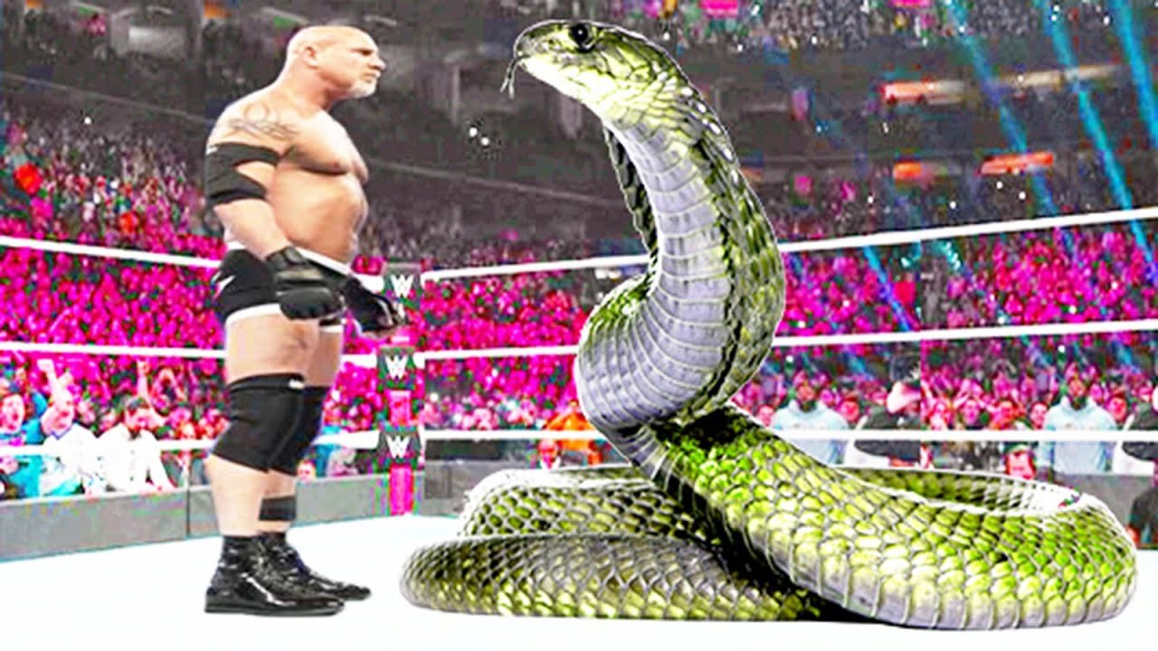 The Clash of Titans: Goldberg vs. The Snake – A Battle of Power and Precision"