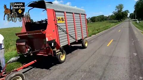 Bikes and Buggies in Amish Country