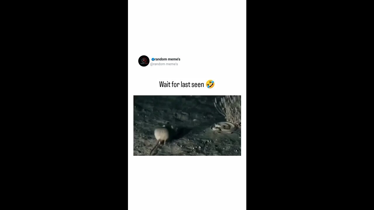 Wait for the last scene