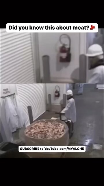 Hamburger is made with “multiple animals”