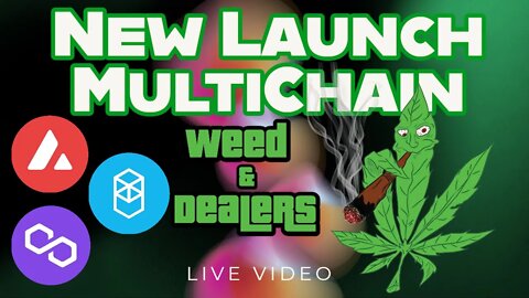 Get Ready for the Next Launch on Sunday Of Weed & Dealers MultiChain