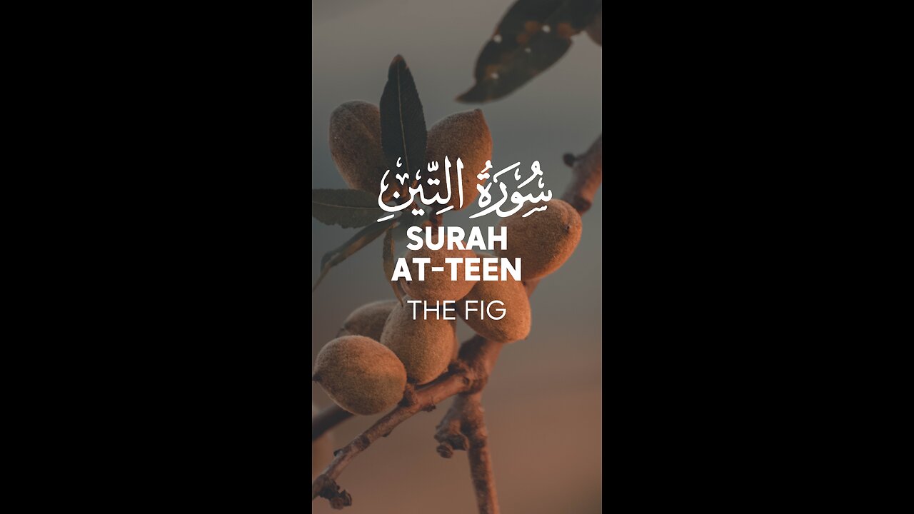 Surah At-Teen