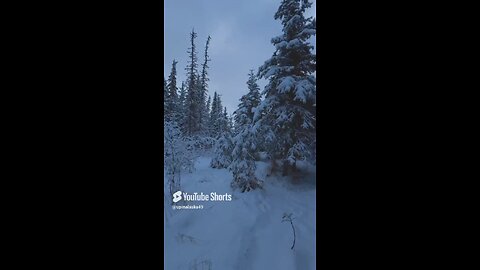 Magical Feeling #Subscribe #Alaska #Outdoors #Nature #Winter #Hiking #Frozen #Mountains #Forest