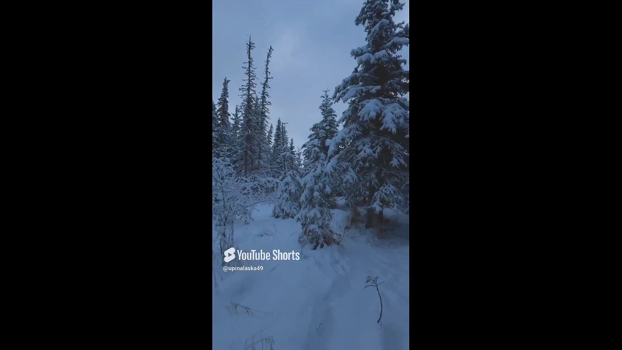 Magical Feeling #Subscribe #Alaska #Outdoors #Nature #Winter #Hiking #Frozen #Mountains #Forest