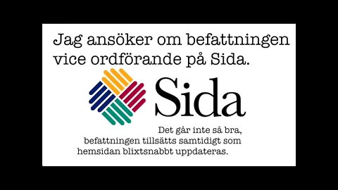 Jag söker den lediga platsen som vice ordförande på Sida. Det går sådär..