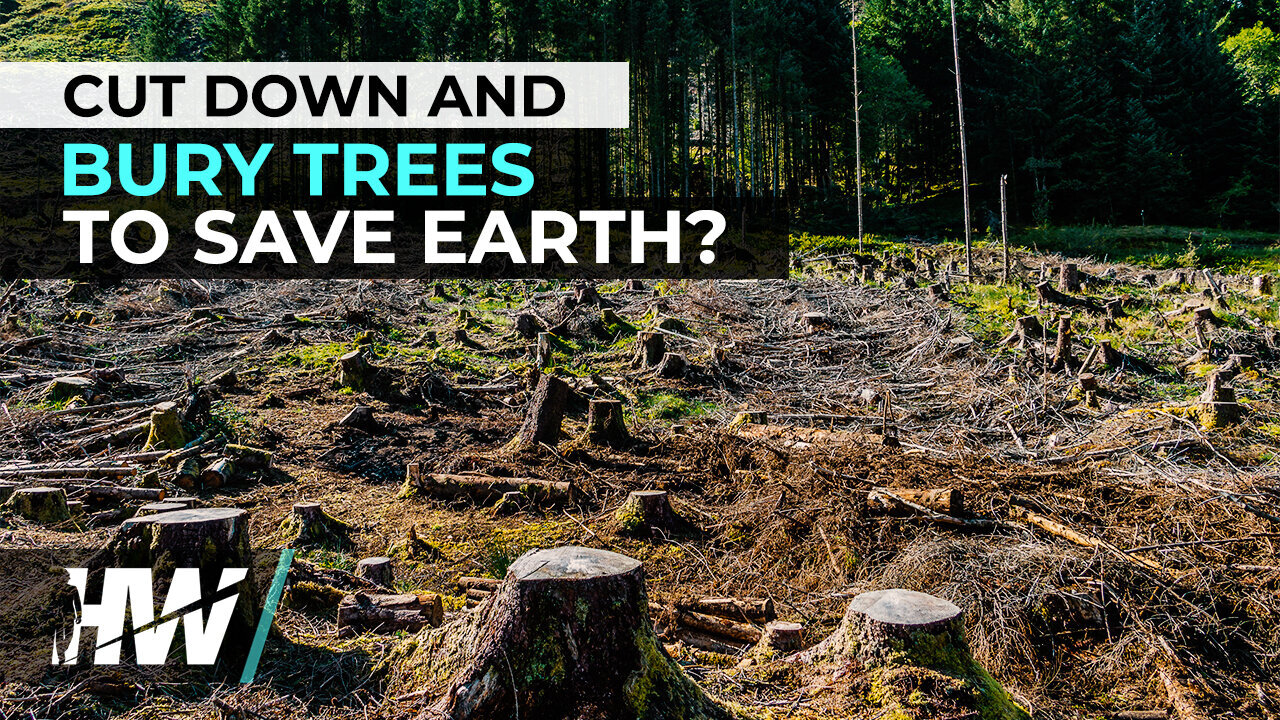 CUT DOWN AND BURY TREES TO SAVE EARTH? | The HighWire with Del Bigtree