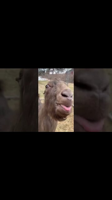 Οι σημερινοι πολιτικοι