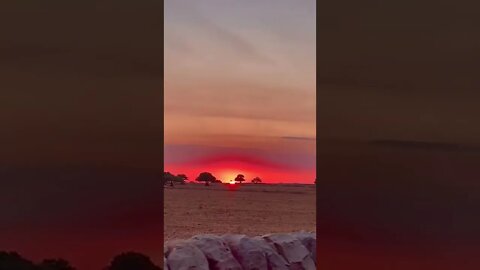 Sunset 🌅