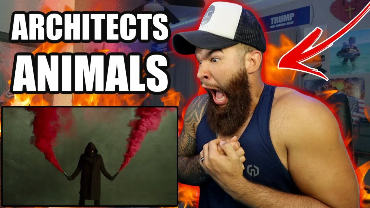 Christian Reacts to ARCHITECTS - ANIMALS