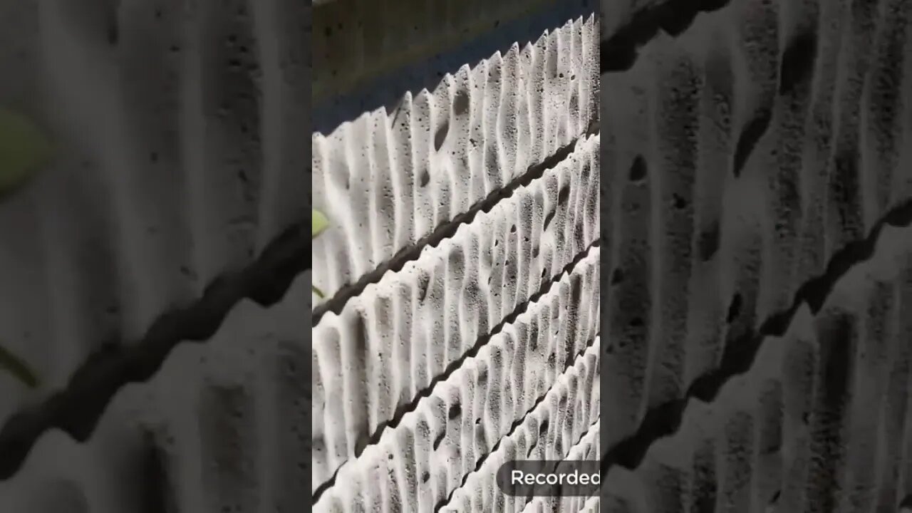 THE BUG UPRISING HAS BEGUN!