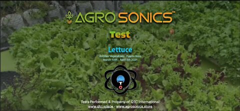 First Look Agrosonics Testing of Aquaponics Lettuce - 2021