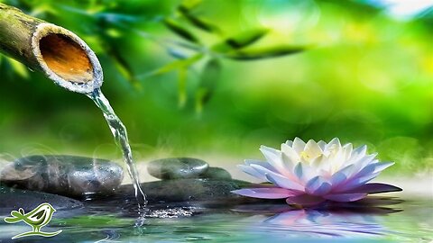 Relax and meditate with water sound .