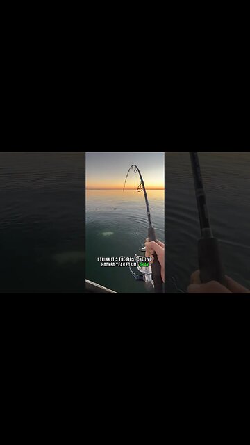 Best day ever! #explore