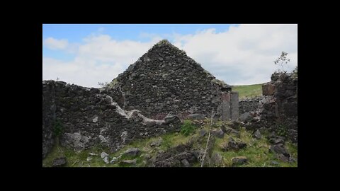 Farm Ruins