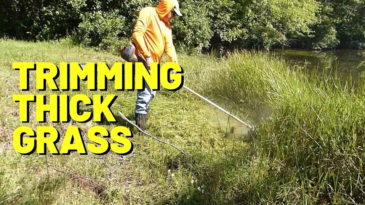 #168 Husqvarna 525L Trimmer vs THICK AQUATIC GRASS Around The Pond