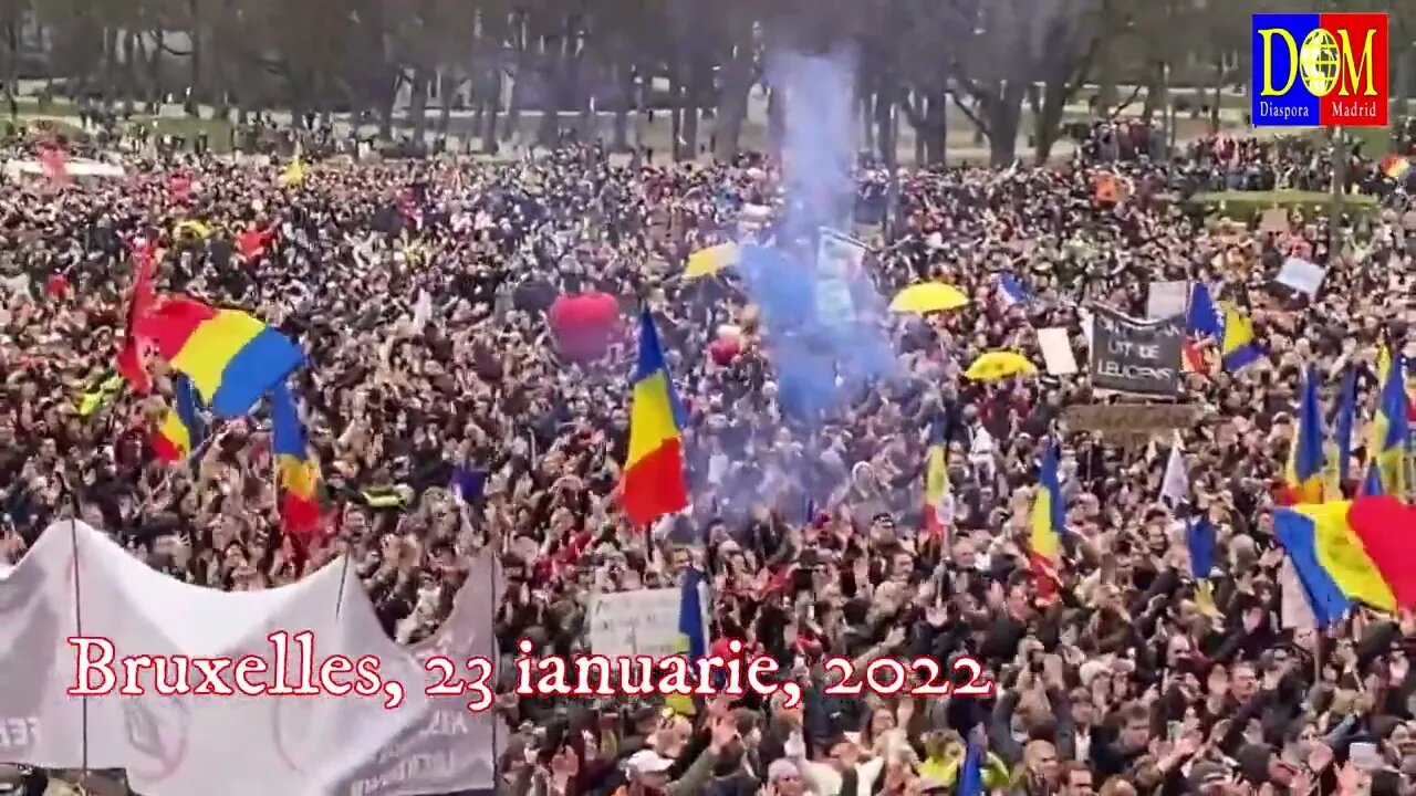 Români prezenți la manifestațiile de la Bruxelles - 23 ianuarie 2022