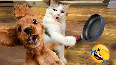 Funniest Pet Animals 2023😂 Funniest and Dogs 😸🐶 see That so Happy