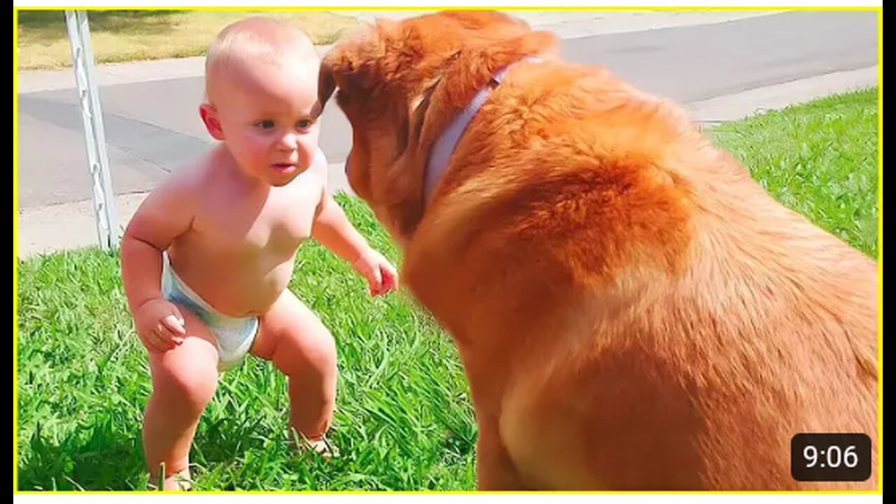 Best video of Cute Babies and Pets - Funny Baby and Pet