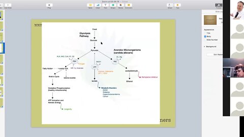 Electrolyte Balance, Sweeteners - Dr Conners Live