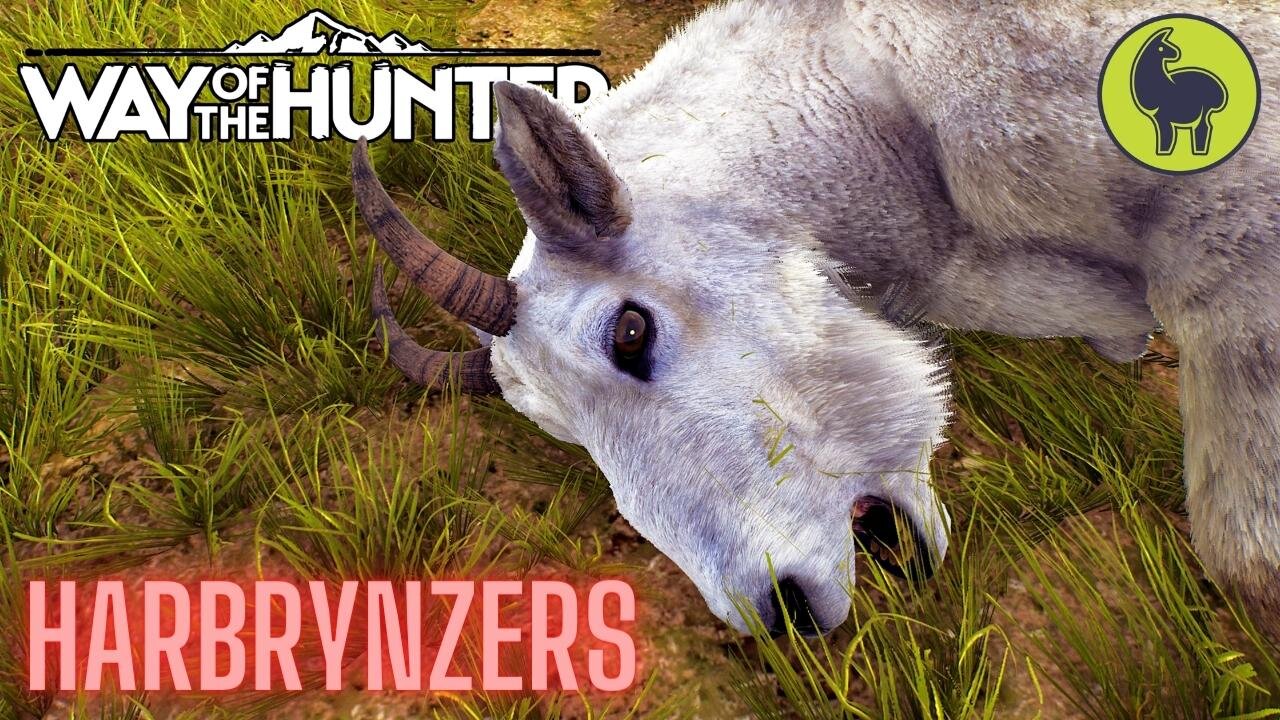 Harbrynzers, Aurora Shores | Way of the Hunter (PS5 4K)