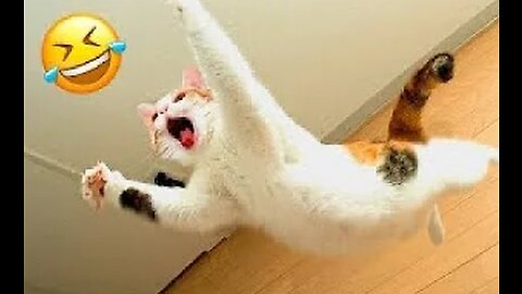 Funniest Cats And Dogs Videos😂😂 Best Funny Animal Videos 2023🔥😝🔥