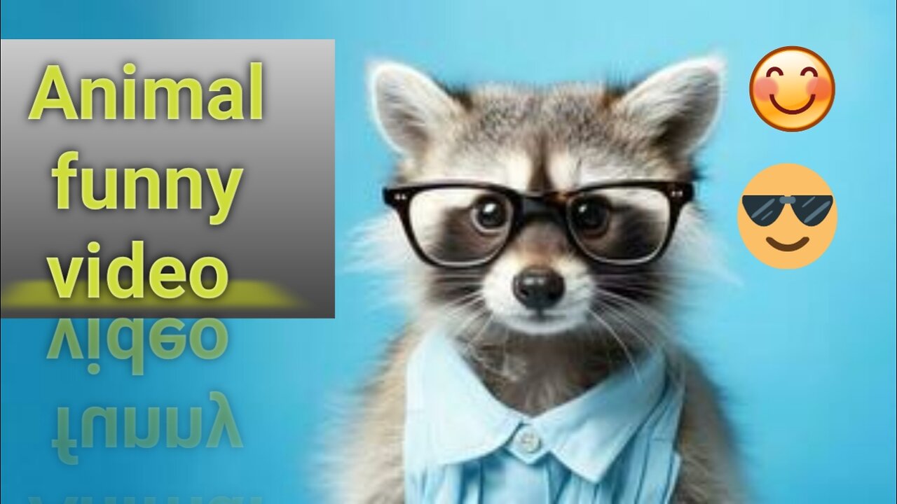 Animal funny video l animal funny videos l