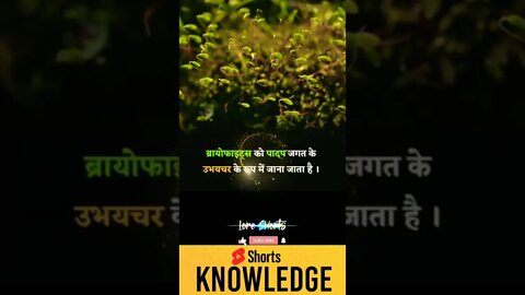 Motivational Quotes Intresting Facts lifestyle & research #shorts #ytshorts #knowledge #motivation