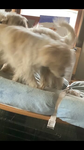 Your word Lord is settled in heaven psalm 119 You faithfulness, endures to all generations #bible