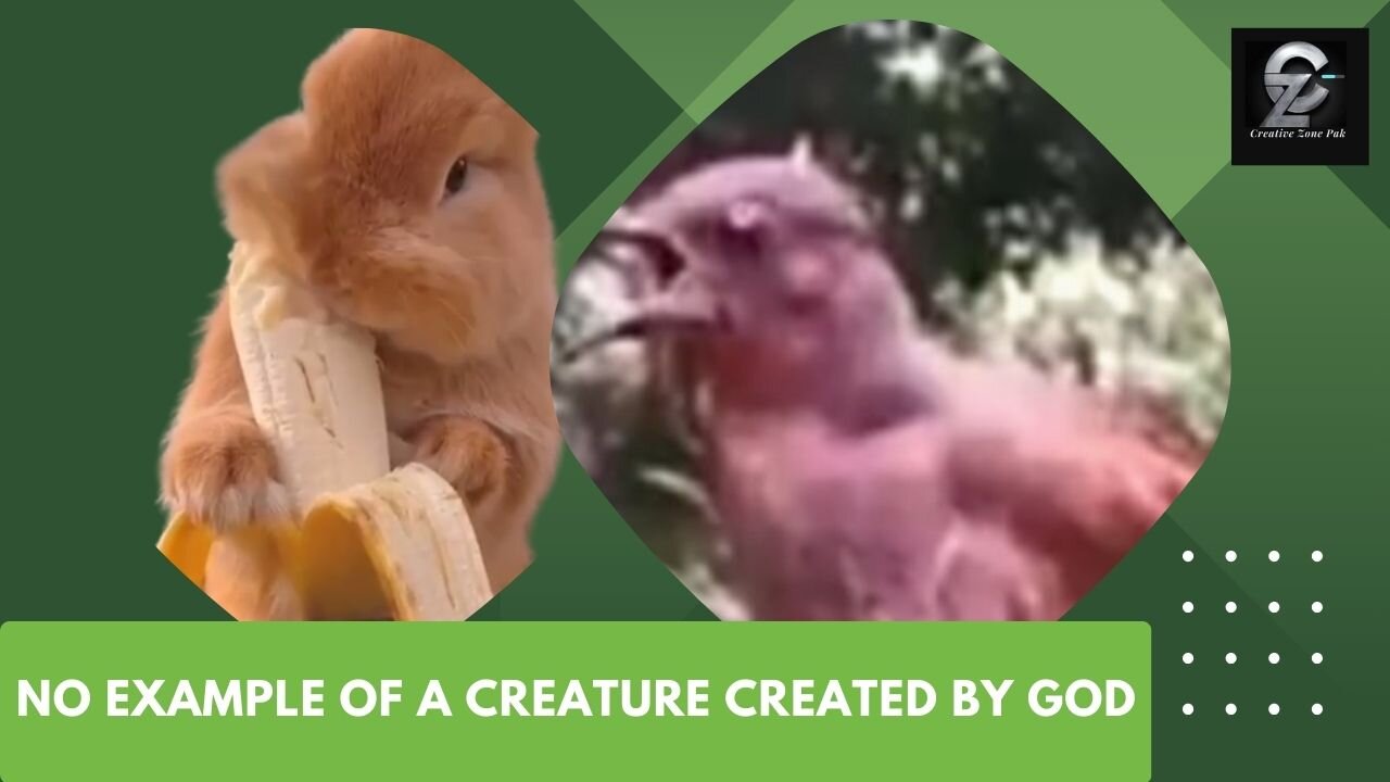 No example of a creature created by God ll God creature created ll God is Great