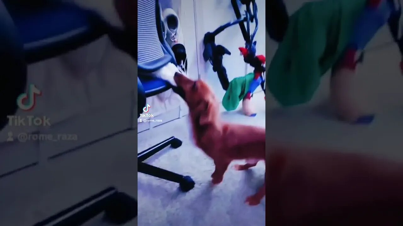 chops his friend
