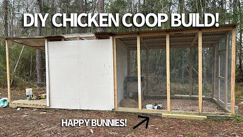 How To Build A DIY Chicken Coop Part 2!