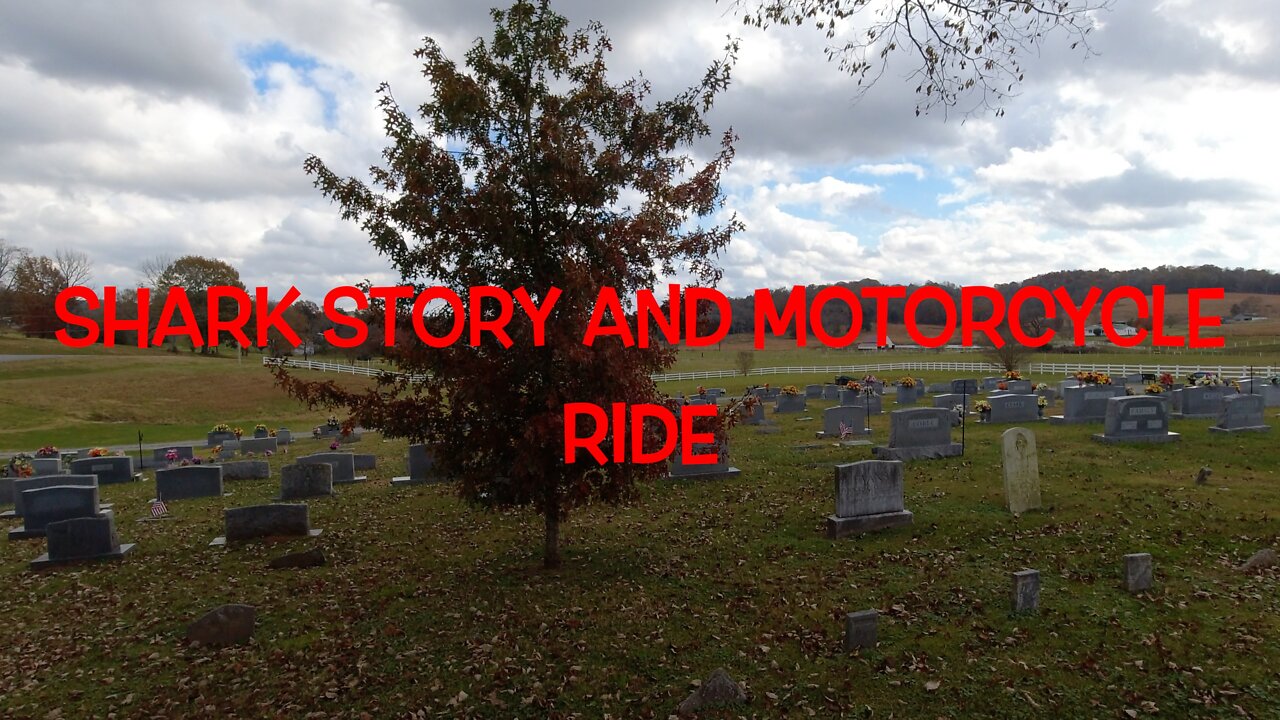MOTORCYCLE RIDE AND SHARK ATTACK STORY