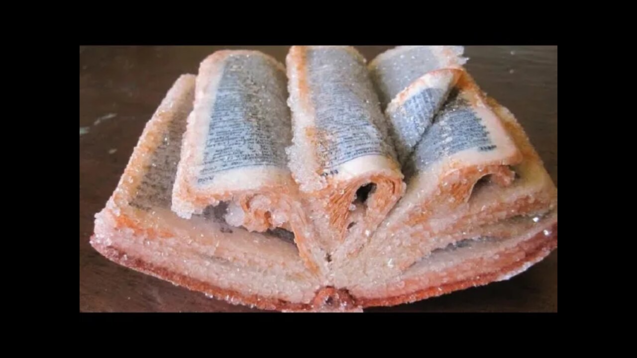 WE SPEAK THE WHOLE TRUTH WITHOUT SUGAR COATING 🧁🍦🍩