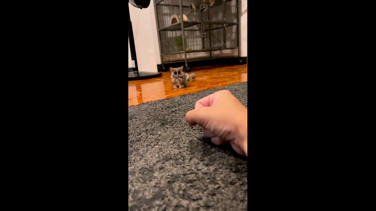 cute