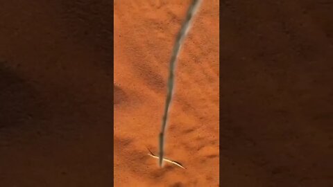 All aboard the caterpillar express! 😏😂🐛🚂