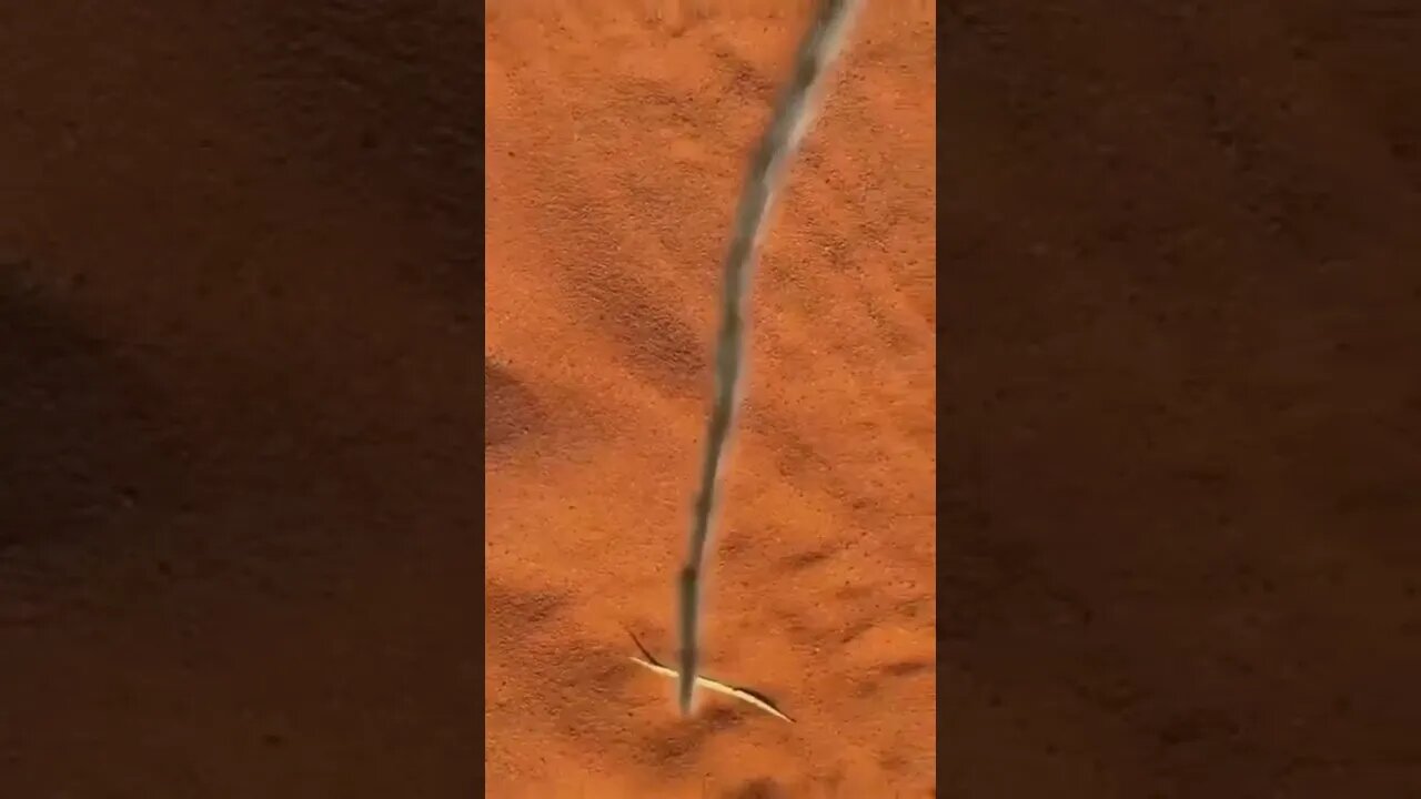 All aboard the caterpillar express! 😏😂🐛🚂