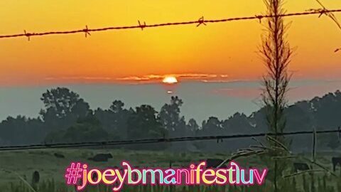 Watching Alabama Sunrise! #shorts #joeybmanifestluv