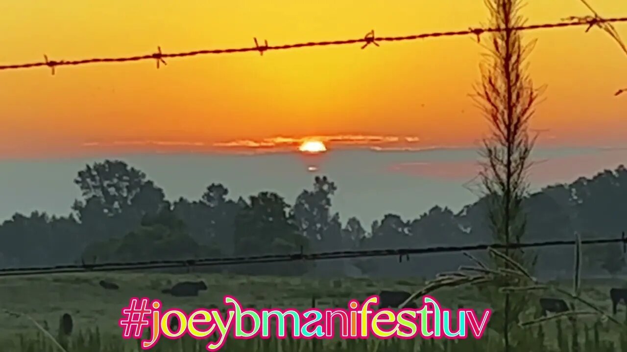 Watching Alabama Sunrise! #shorts #joeybmanifestluv