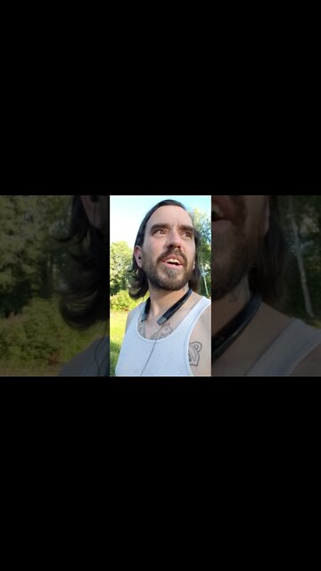 They All Look The Same