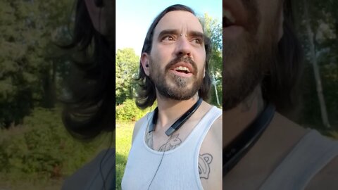 They All Look The Same