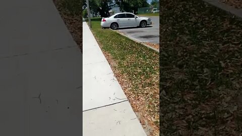 #gangstalking perp walk 05/05/2022 Pt. 3