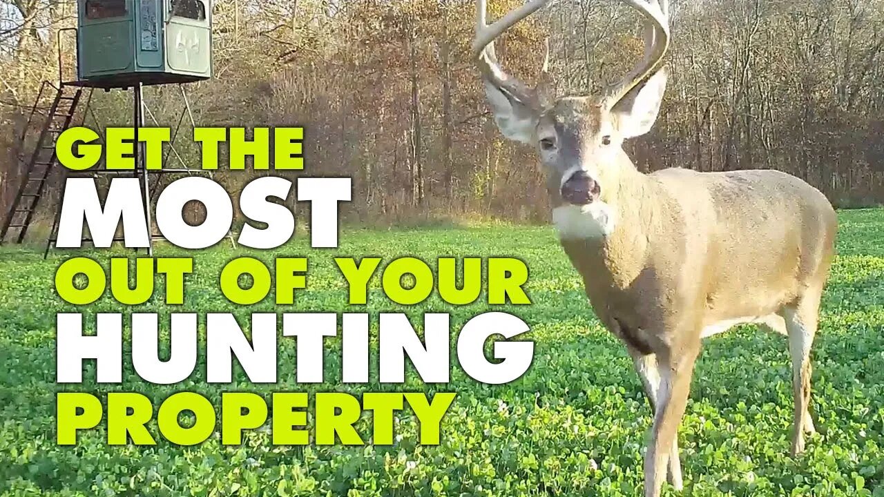 Get the Most Out of Your Hunting Land