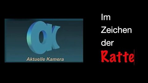 Im Zeichen der Ratte