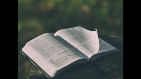 God places man in the garden (lesson #7)