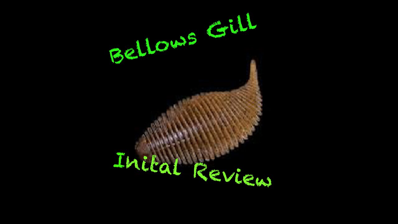 Geecrack Bellows Gill Initial Review