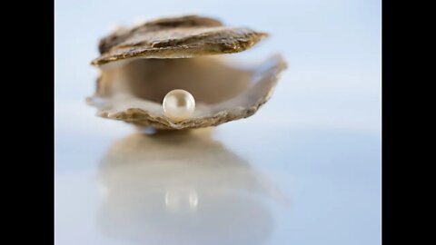 The Birthing Process and The Oyster (From Live)