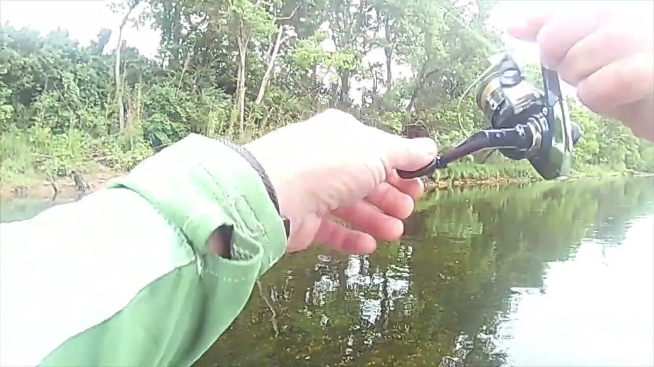 Episode 24- What kind of trout is this? Think I miss identified it twice. Trout not upset!