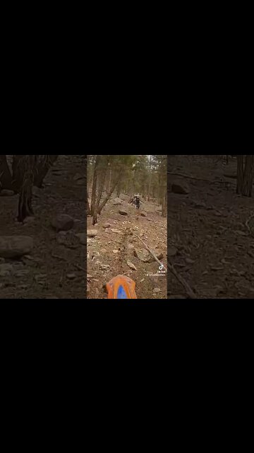 Another steep hill climb while buddy does a pivot turn!